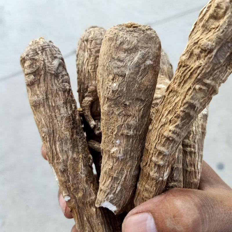 白芷香料产地直销一手货源批发零售量大从优质量保证
