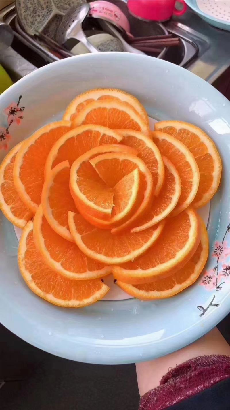 秭归脐橙中华红