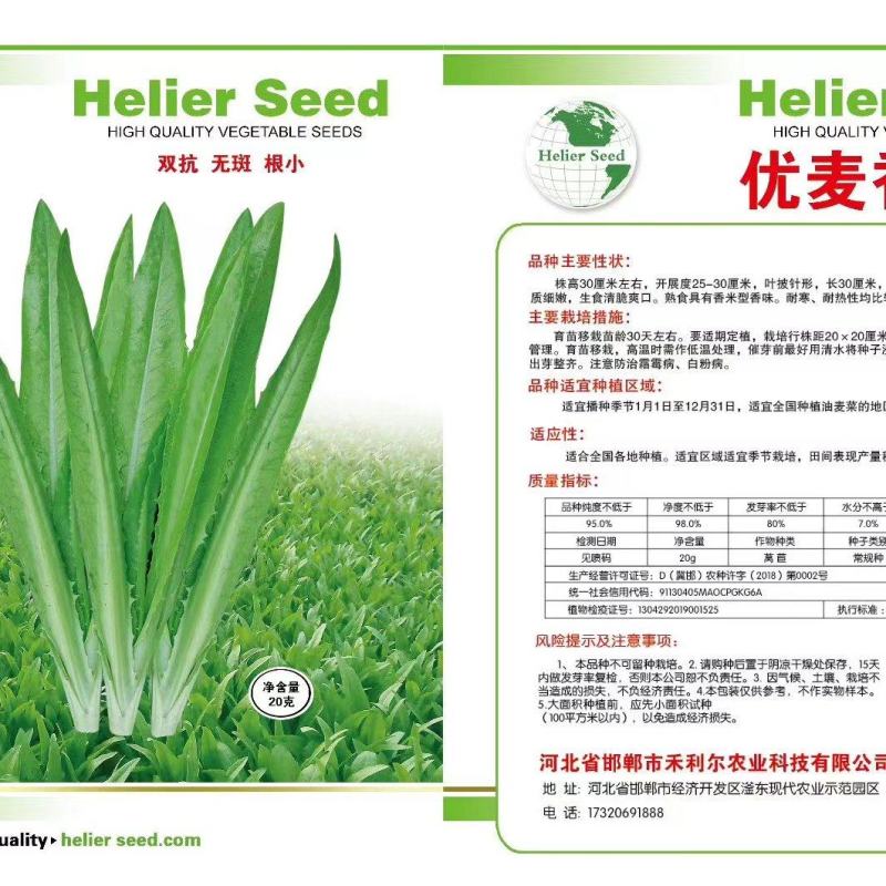 四季油麦菜种子花叶紫红色油麦菜籽春秋季阳台种菜青菜籽蔬菜