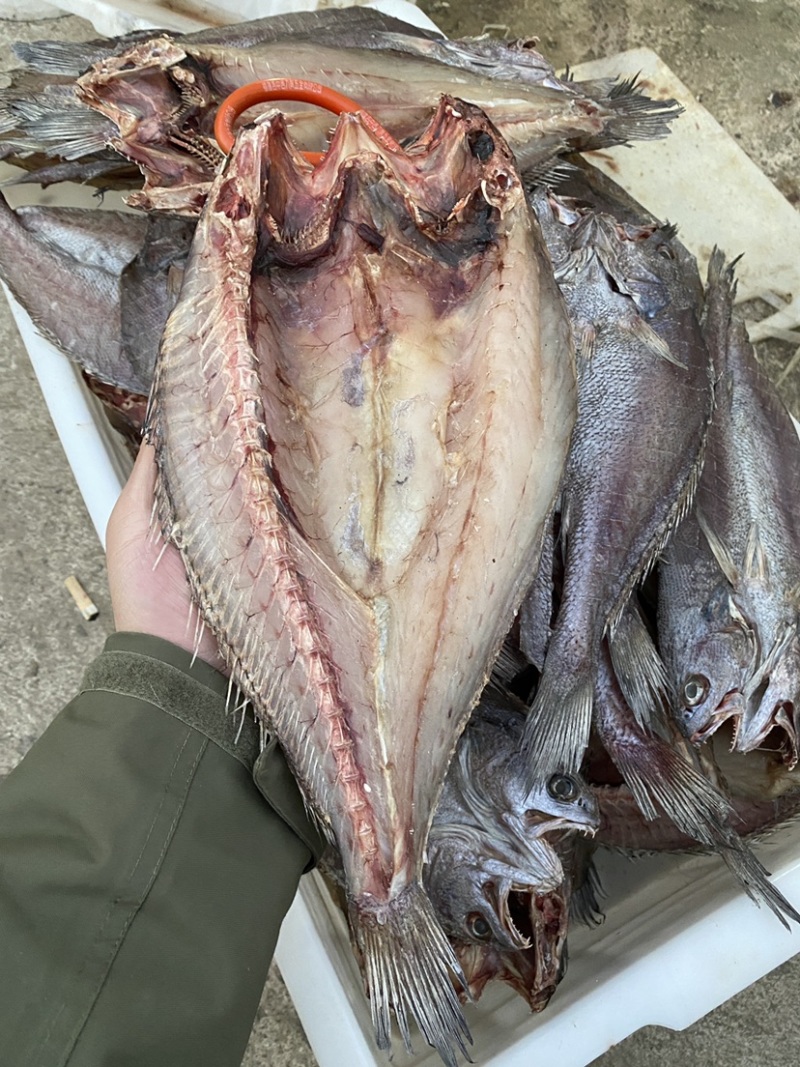 青岛本地淡干海鳗鱼干曼琳鱼七星鳗鱼干甜晒鱼干