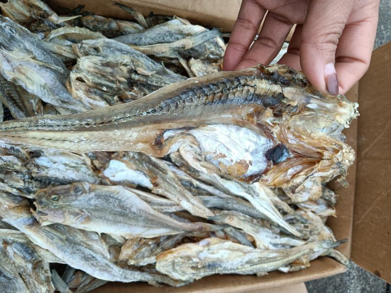 鱼皮，淡干，嚼劲十足，麻辣油炸均可，沾化地区一手货源