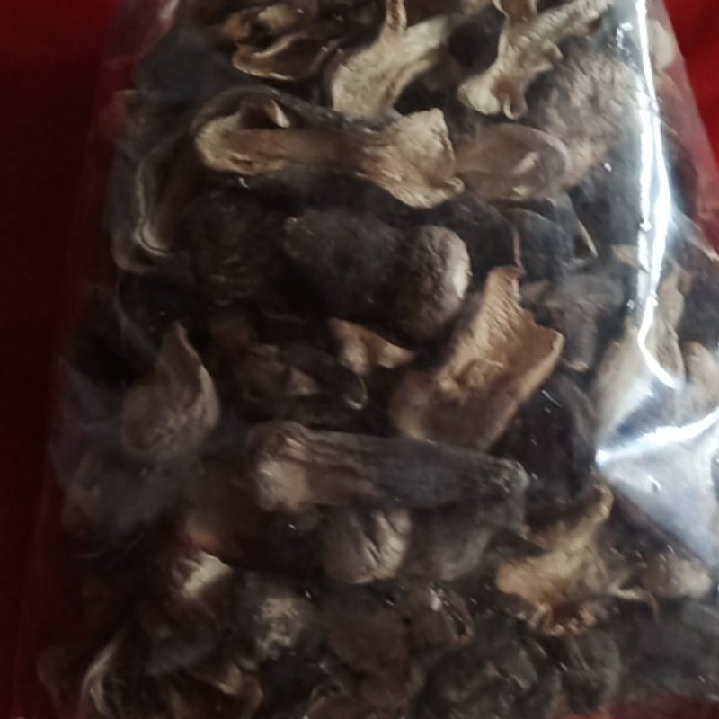 自种的干品草菇