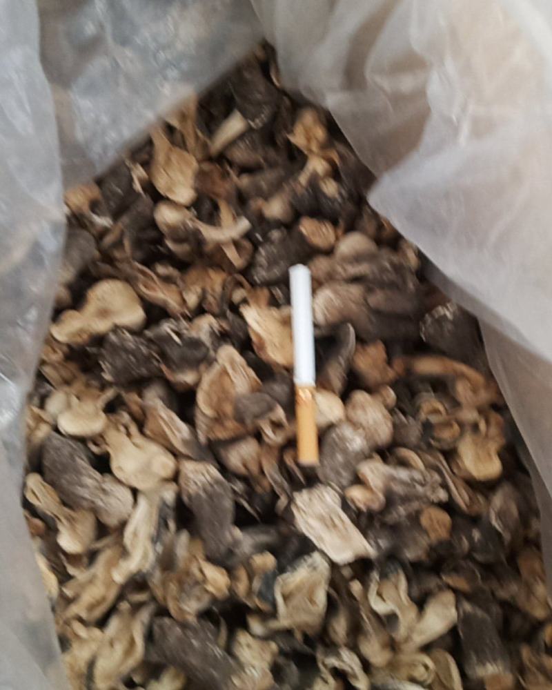 自种的干品草菇
