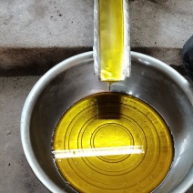 传统压榨山茶油