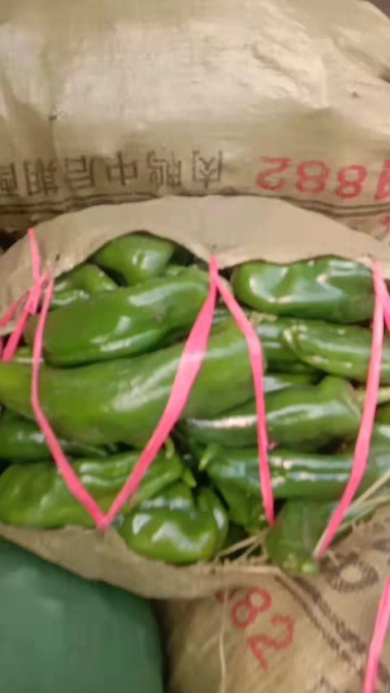 辣椒，薄皮辣椒，线椒，厚皮辣椒。
