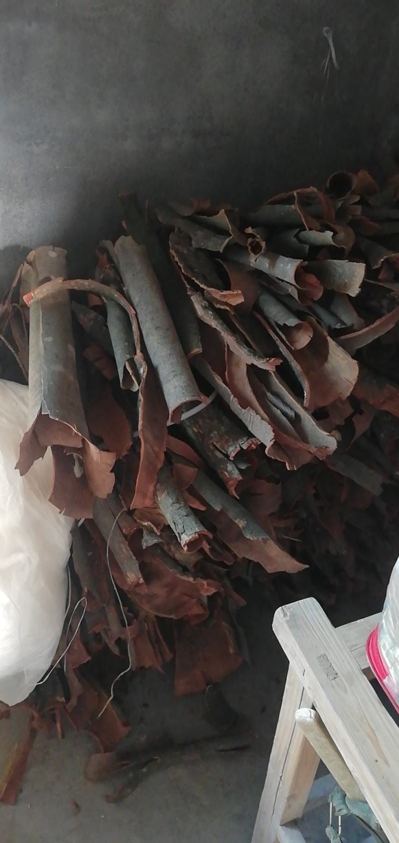 桂皮，大叶桂皮