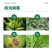 美国杜邦可杀得叁千三千3000氢氧化铜角斑病溃疡病农药杀