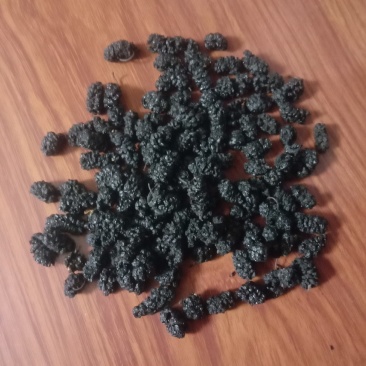 黑珍珠桑葚，榨汁，食用，另有食用，药用桑葚果干，可每天发