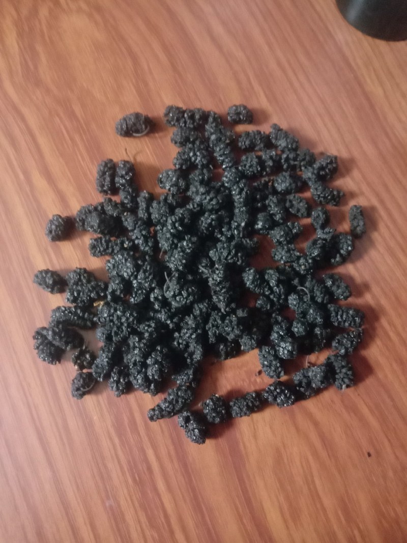 黑珍珠桑葚，榨汁，食用，另有食用，药用桑葚果干，可每天发