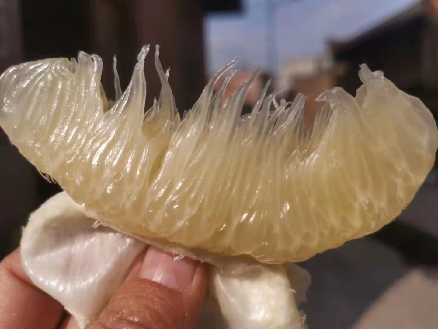 百香葡萄柚特写