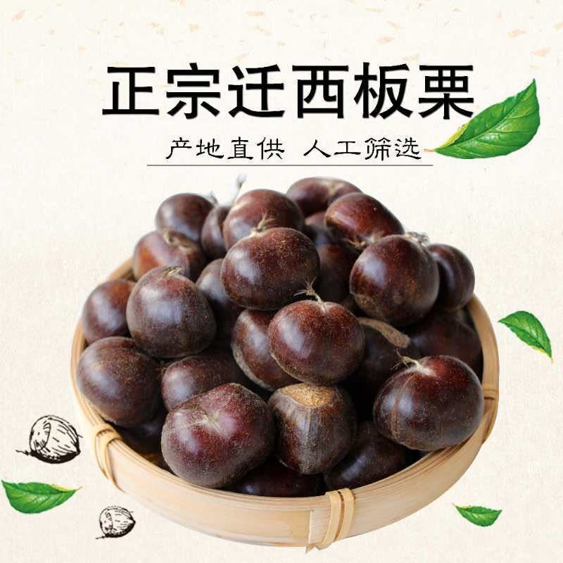 【新货上市包邮】正宗迁西3113板栗香甜软糯规格齐全皮薄