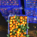 一级