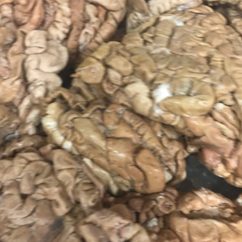 国产新鲜卤肥肠每天新鲜卤制适应各种餐厅和美食