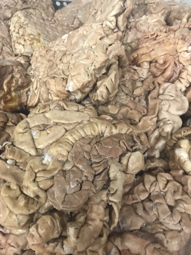 国产新鲜卤肥肠每天新鲜卤制适应各种餐厅和美食