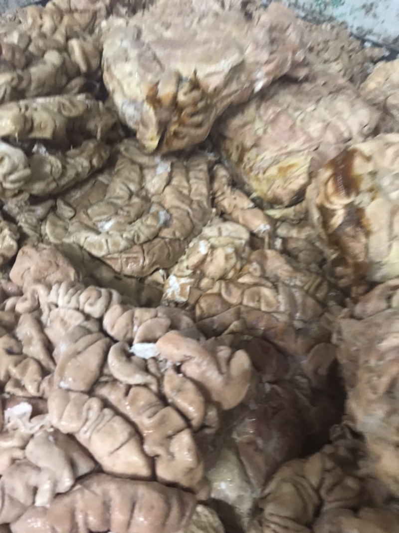 国产新鲜卤肥肠每天新鲜卤制适应各种餐厅和美食