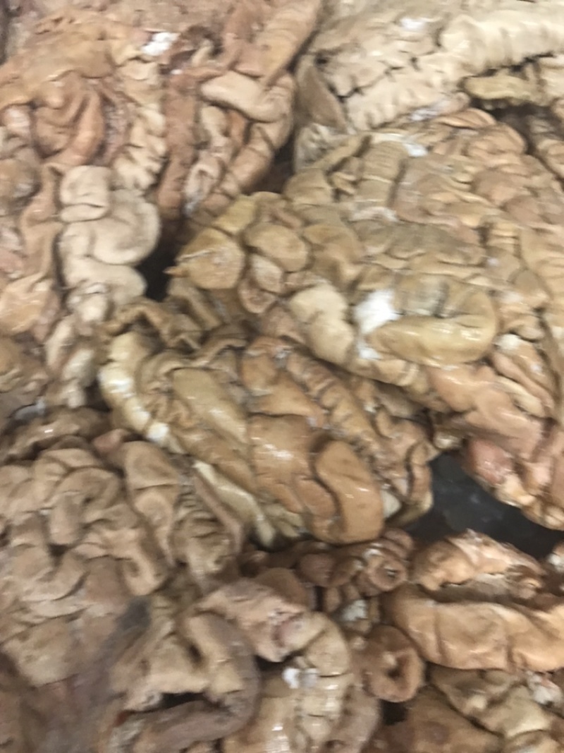 国产新鲜卤肥肠每天新鲜卤制适应各种餐厅和美食