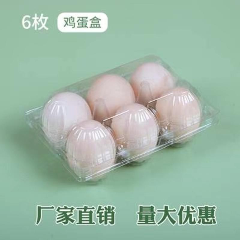 山东枣庄鸡蛋托鸭蛋托塑料盒货源充足欢迎来电咨询