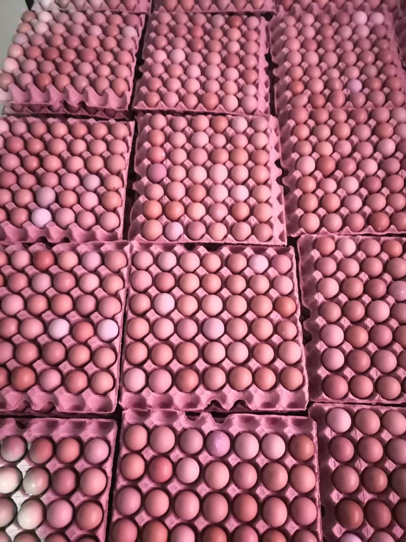 山鸡蛋新鲜直供，自家养殖，质量保证，诚信经营，老少皆宜。