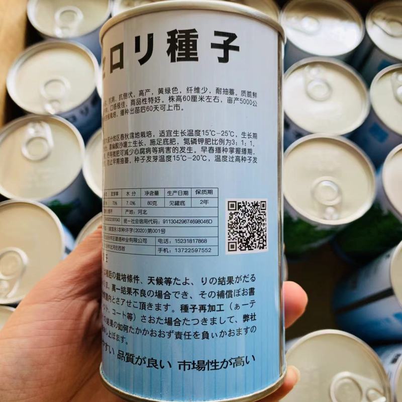 璐通山芹四季小香芹种子高产黄绿色耐抽苔芹菜种子清香无苦味