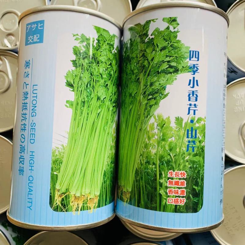 璐通山芹四季小香芹种子高产黄绿色耐抽苔芹菜种子清香无苦味