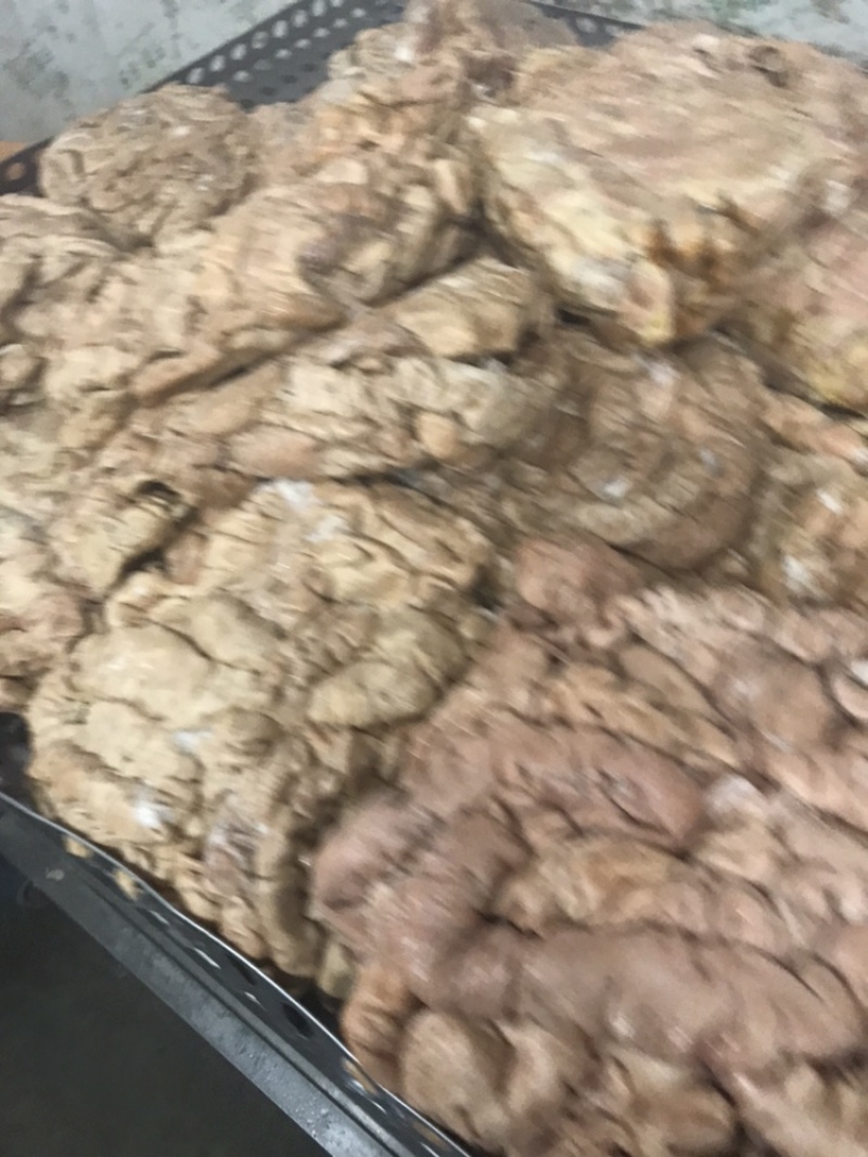 国产新鲜卤肥肠每天新鲜卤制适应各种餐厅和美食