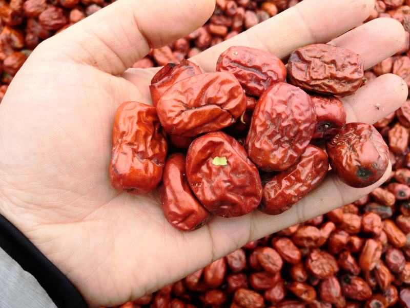 打枣泥打枣汁做枣酒食品厂专用裂口金丝小枣