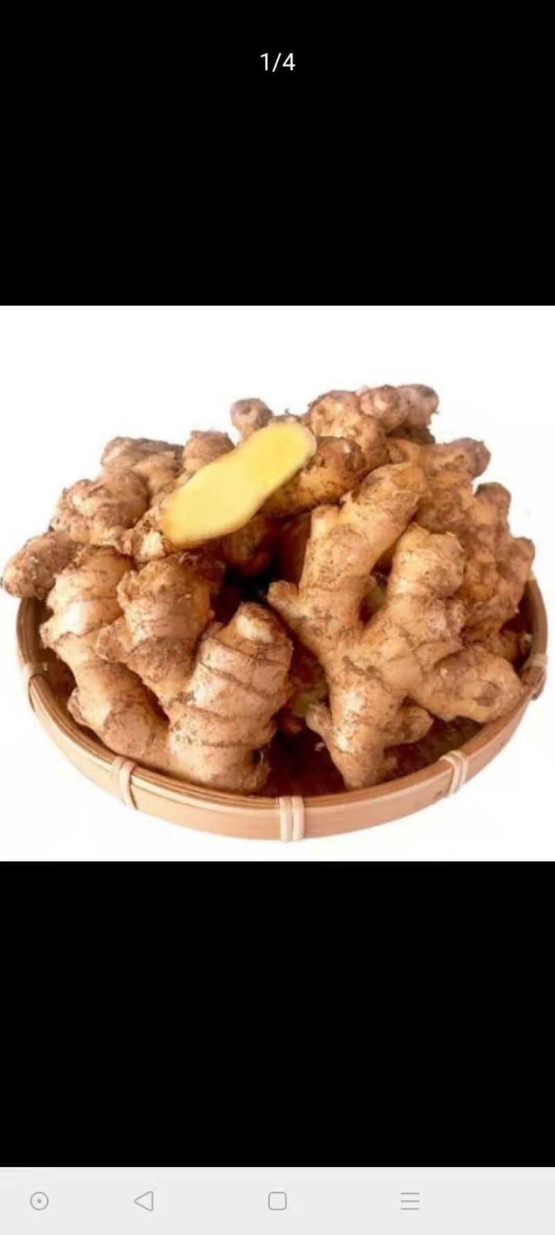 大量生姜