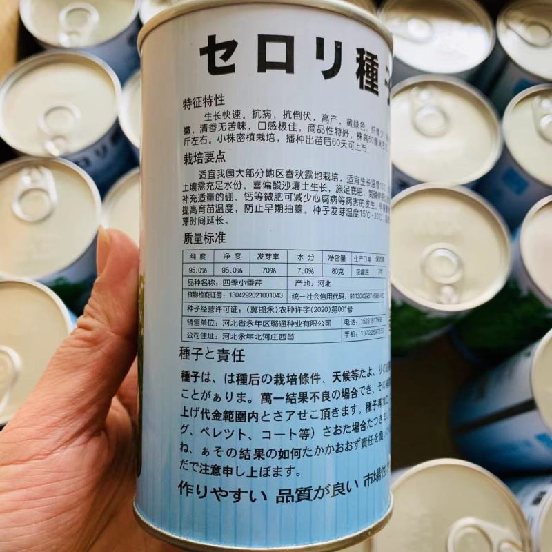 速生四季黄嫩小香芹种子纤维少商品性好抗寒耐热芹菜厂家直销