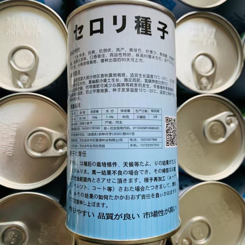 速生四季黄嫩小香芹种子纤维少商品性好抗寒耐热芹菜厂家直销