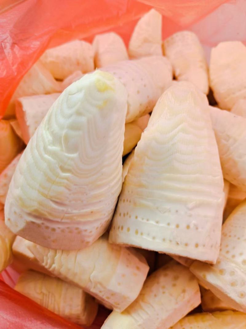 新鲜冬笋肉