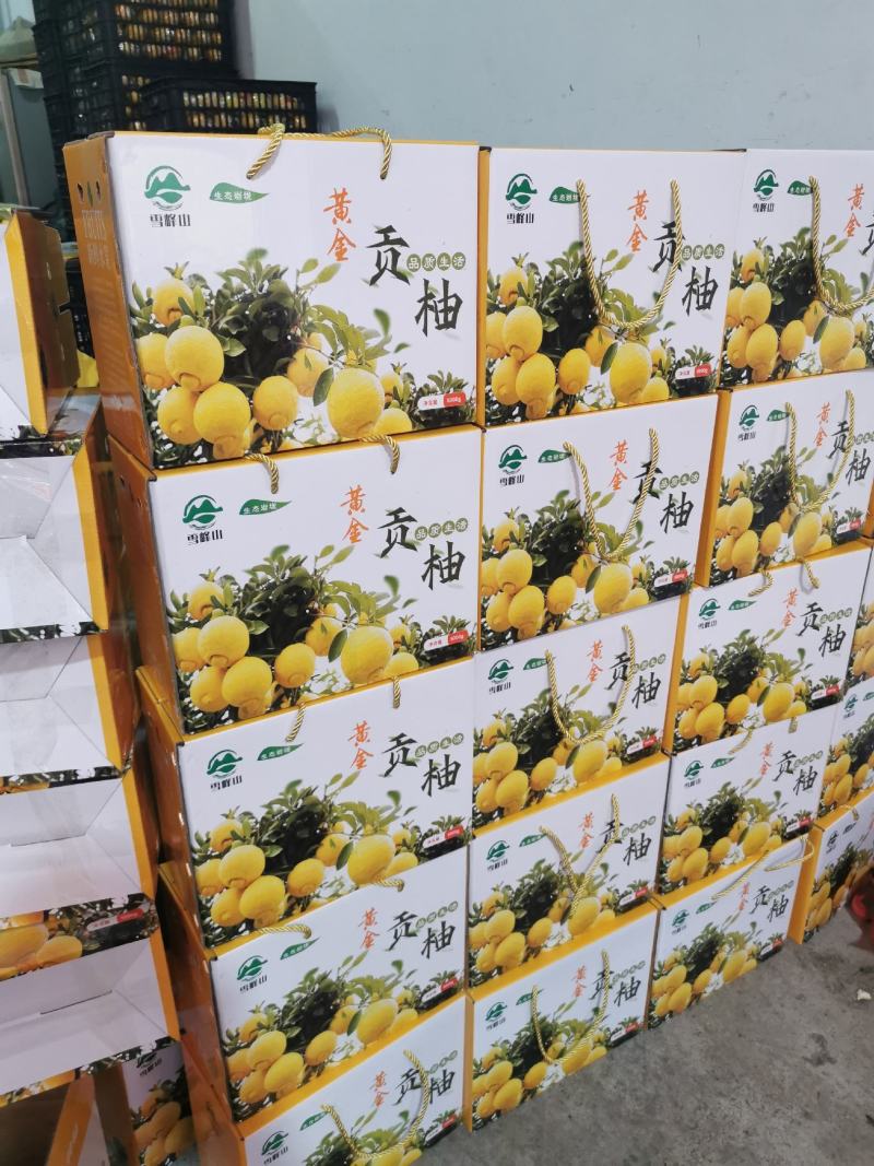黄金贡柚黔阳特产岩垅黄金贡柚柚子
