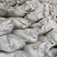 河北新乐市厂家直供油渣饲料原料玉米大豆花生油渣粉都有货