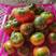真丶草莓西红柿，铁皮西红柿，带绿肩，糖度8到11个