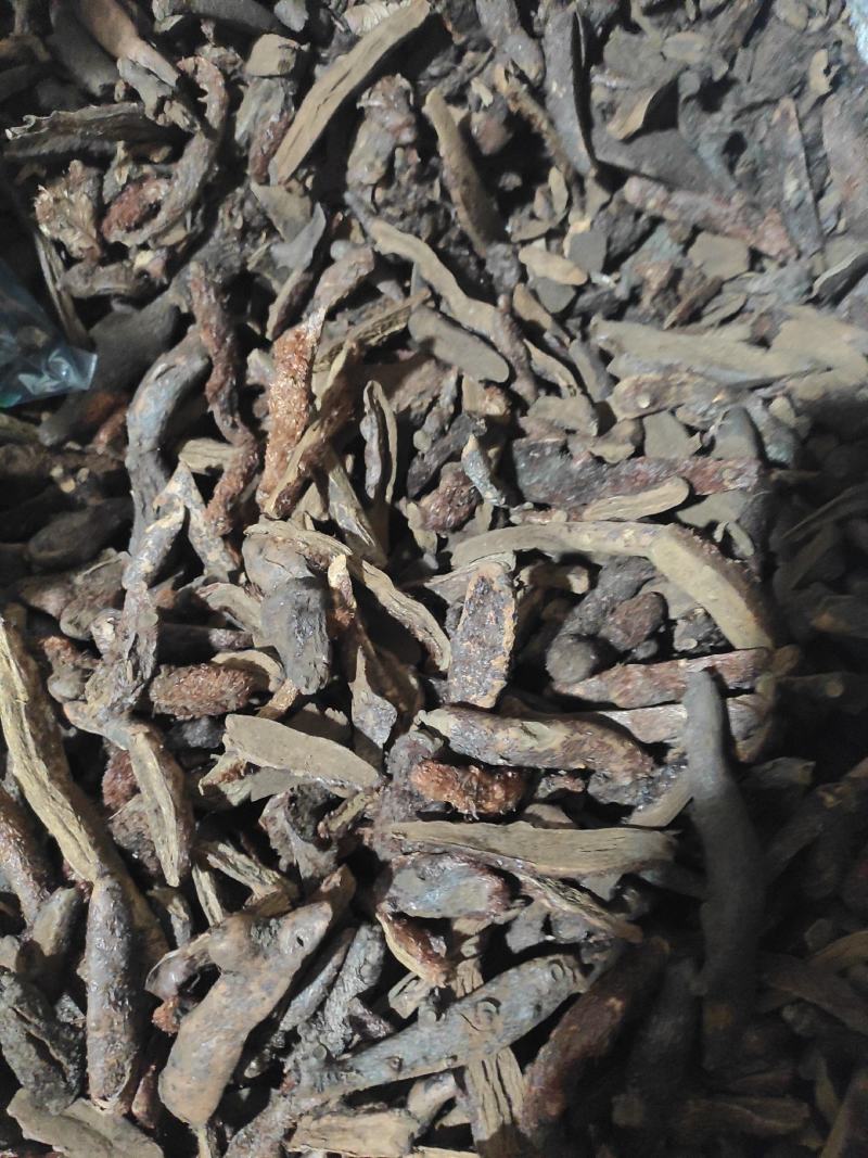 骨碎补干货中药材干净无杂质常年经营各种中药材