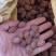 桃核，毛桃核，育苗种，桃树种子，直接电话联系信息不回