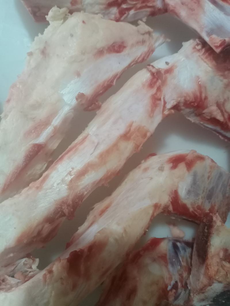 高钙牛骨剔肉牛胸骨价格便宜一手货源大量现货