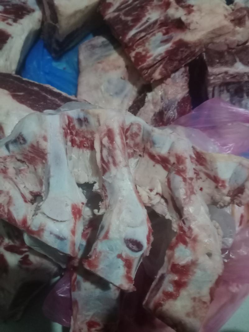 高钙牛骨剔肉牛胸骨价格便宜一手货源大量现货