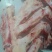 高钙牛骨剔肉牛胸骨价格便宜一手货源大量现货