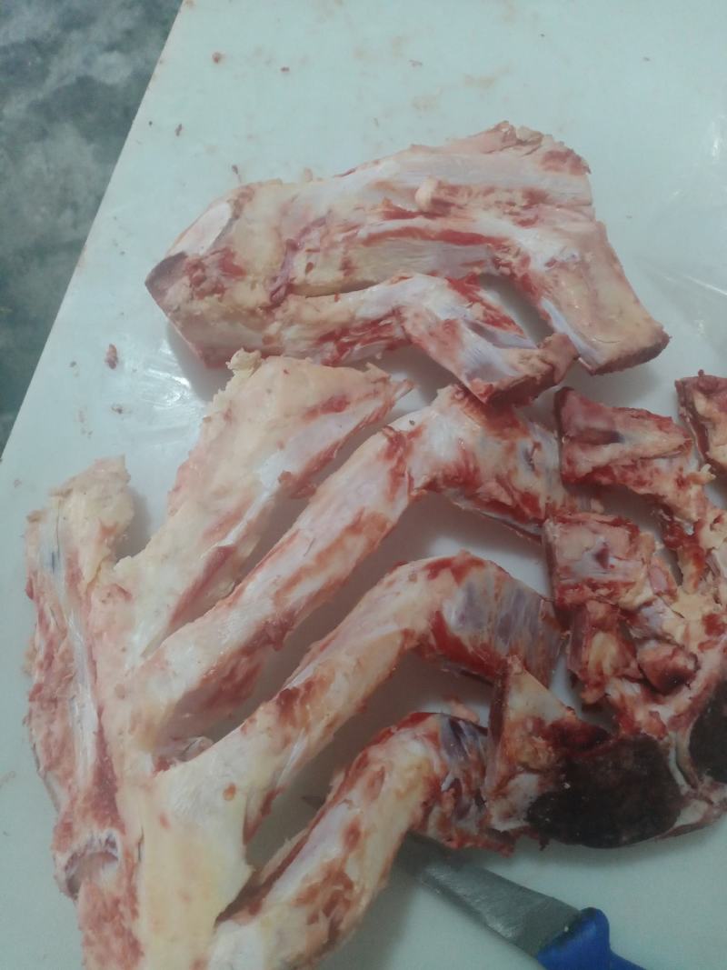 高钙牛骨剔肉牛胸骨价格便宜一手货源大量现货