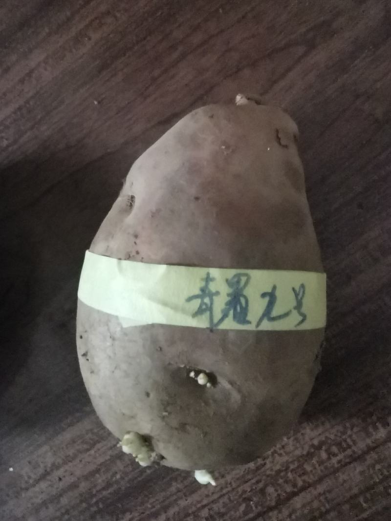 威宁县黄心土豆