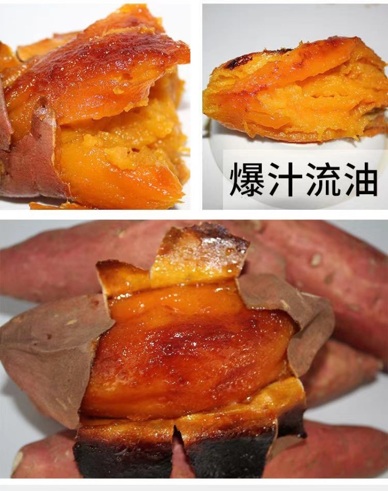 电商一件代发烤薯专用烟薯25蜜薯糖心红薯