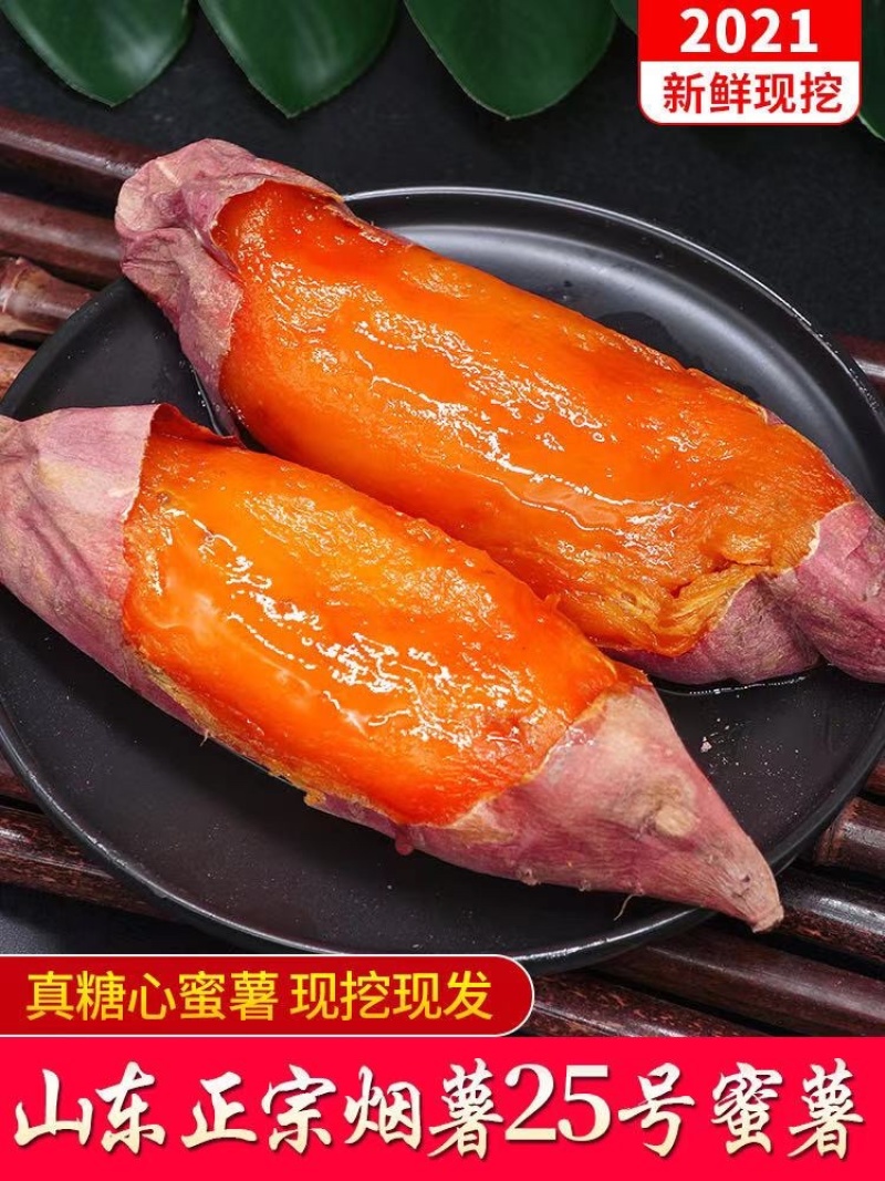 电商一件代发烤薯专用烟薯25蜜薯糖心红薯