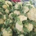 精品有机花菜(松花菜),大量上市中,花白精美,欢迎订购