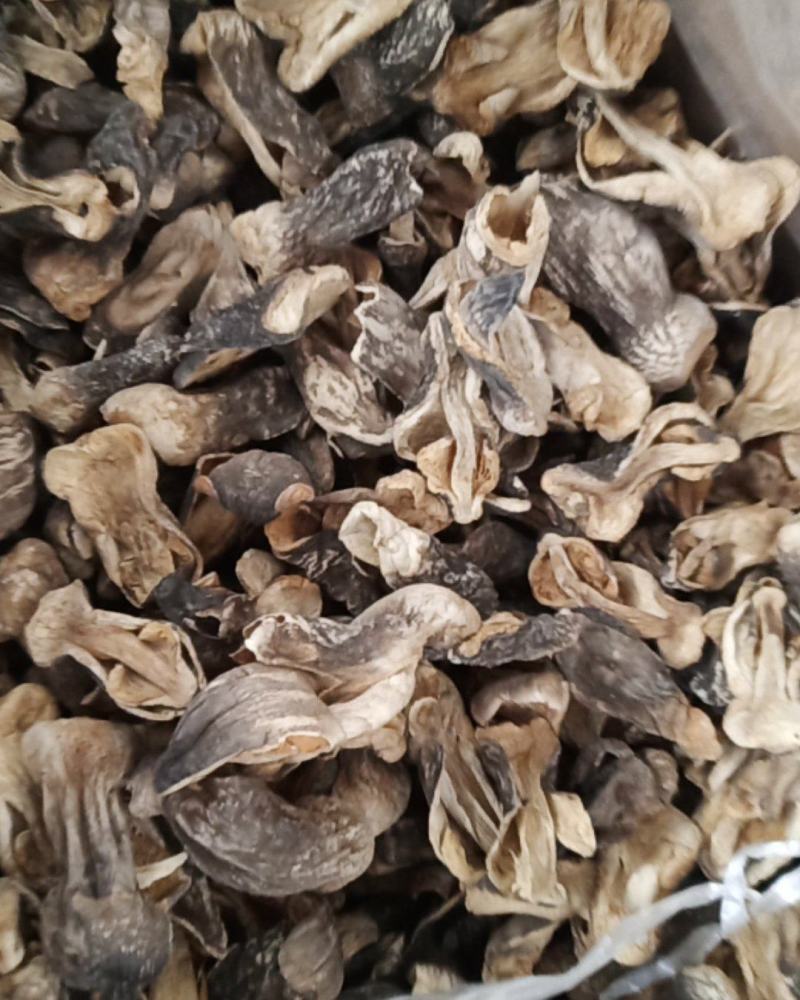 自种的草菇