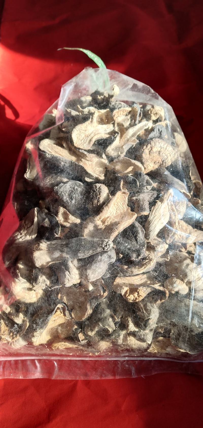 自种的草菇