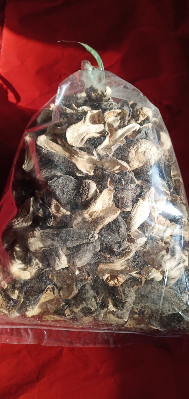 自种的草菇