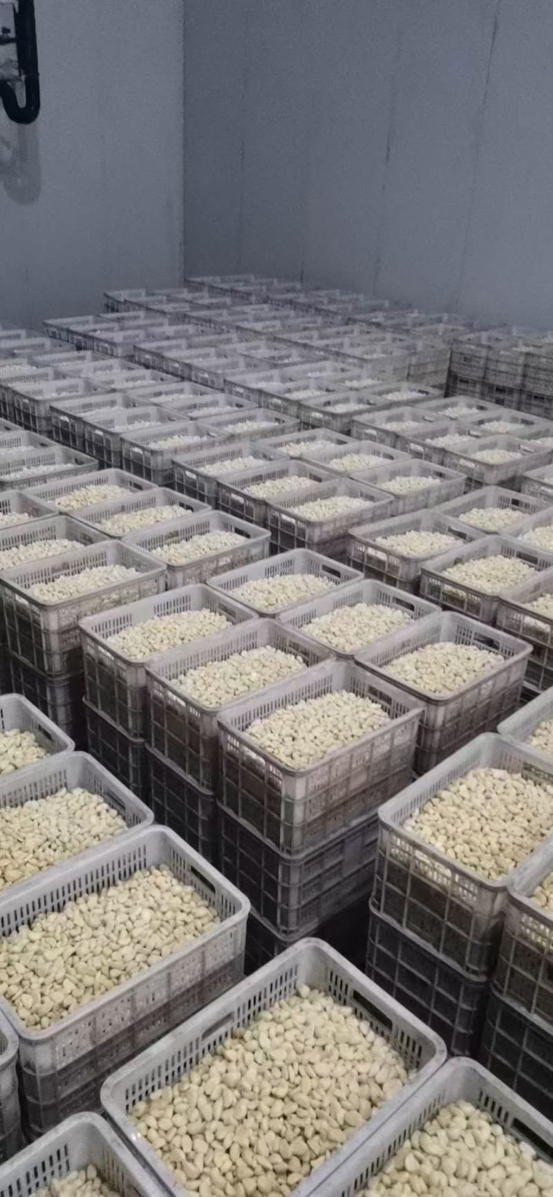蒜米2.5元全国发货可做任何包装，价格实惠，质量好。蒜