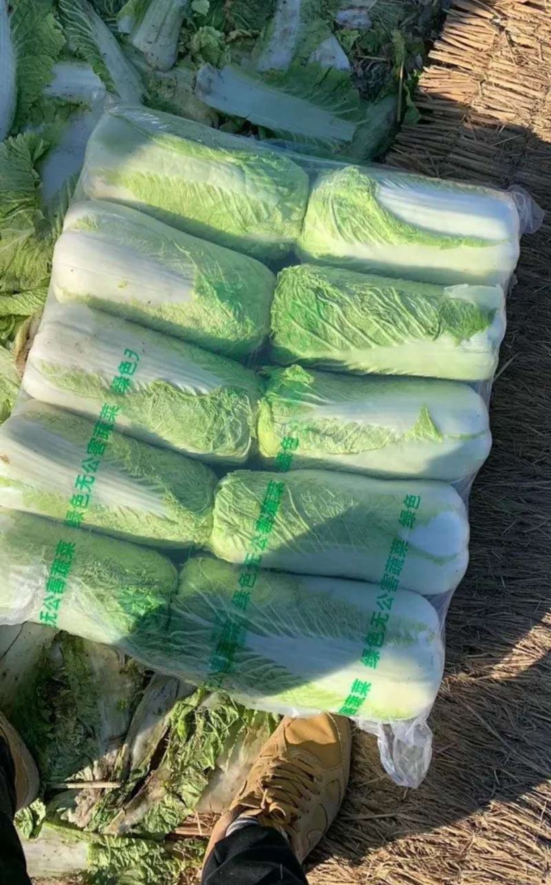 北京三号大白菜大量供应！！