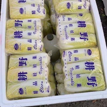 黄心娃娃菜，大量上市，质优价廉，欢迎各位前来选购