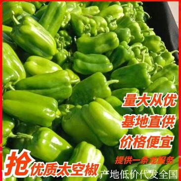 圆椒太空椒木红椒质量保证日走货量大专业代收对接全国